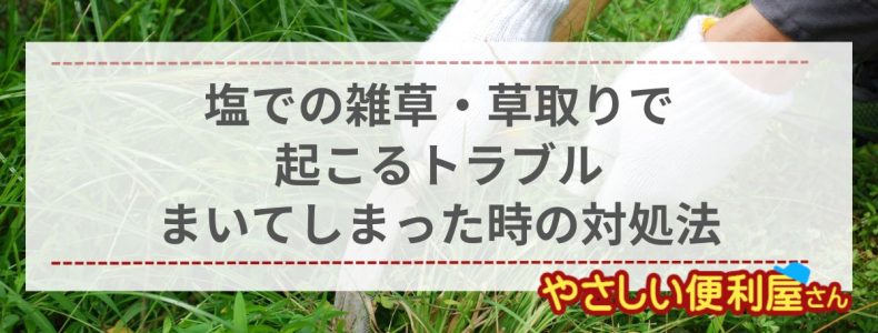 雑草に塩は絶対ダメ！塩水をまくと起こる被害例と庭に塩をまいてまったときの対処法